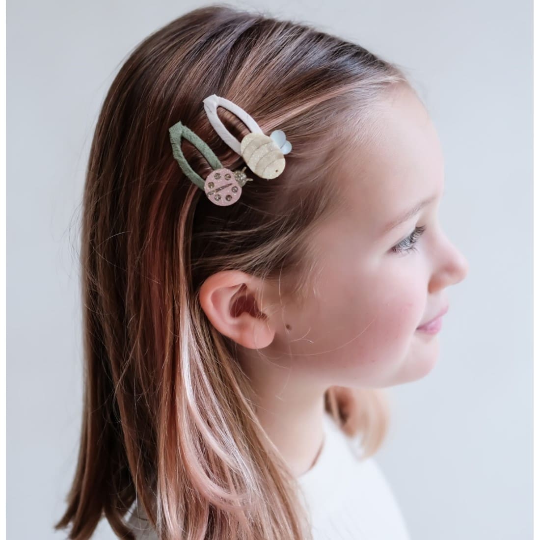 Bee & Ladybird Clip Pack