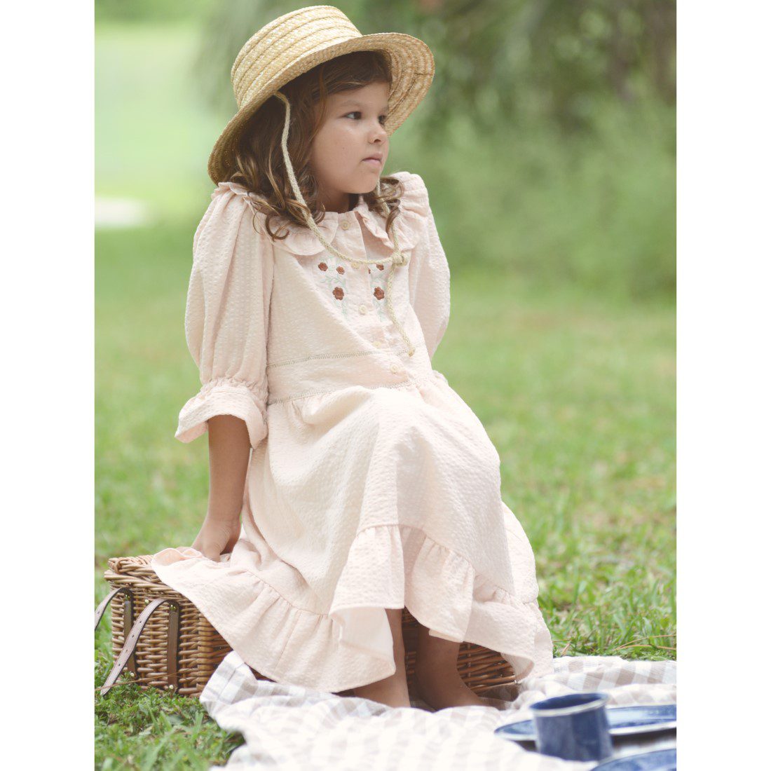 Constanza Embroidery Dress