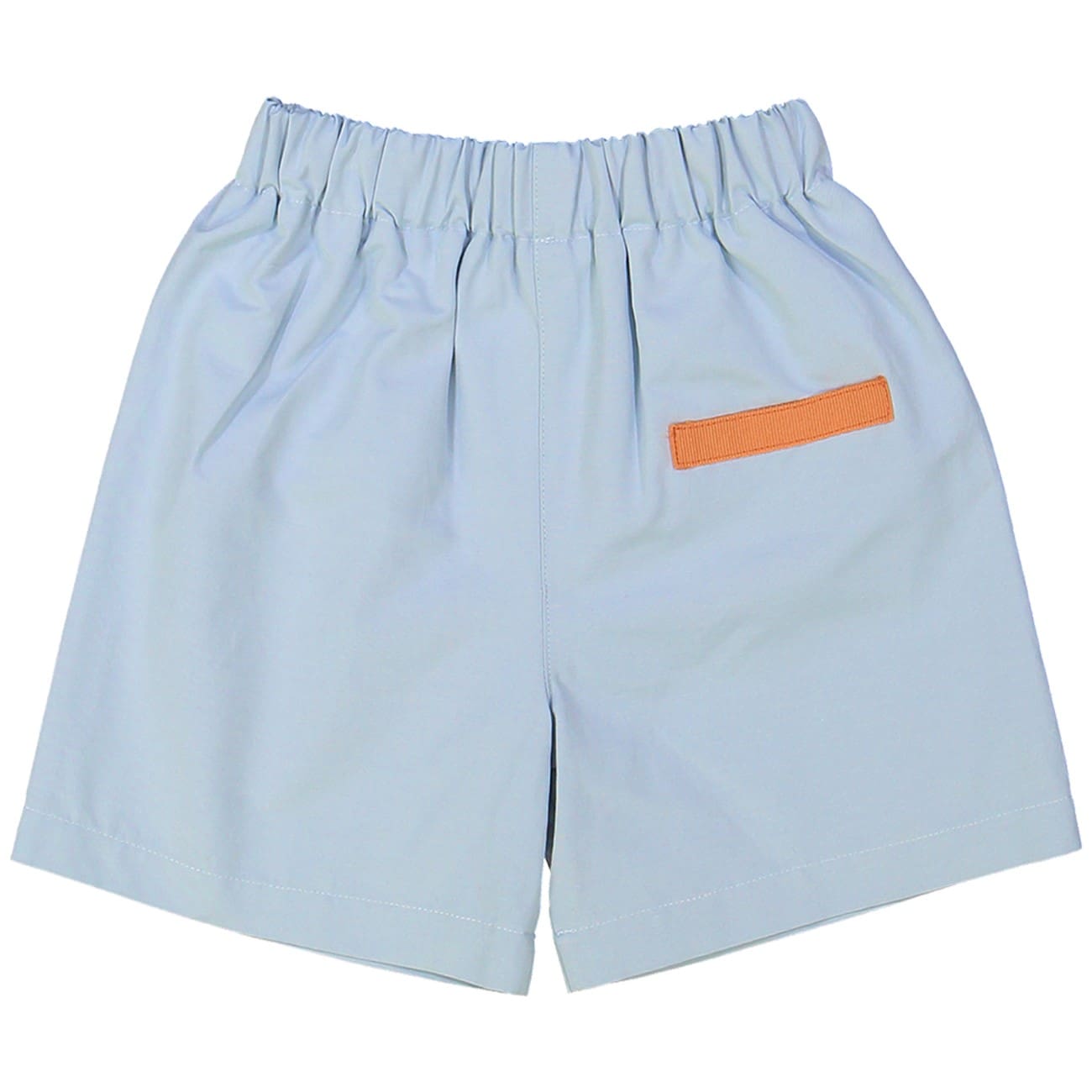 Diego Swim Shorts | Ash