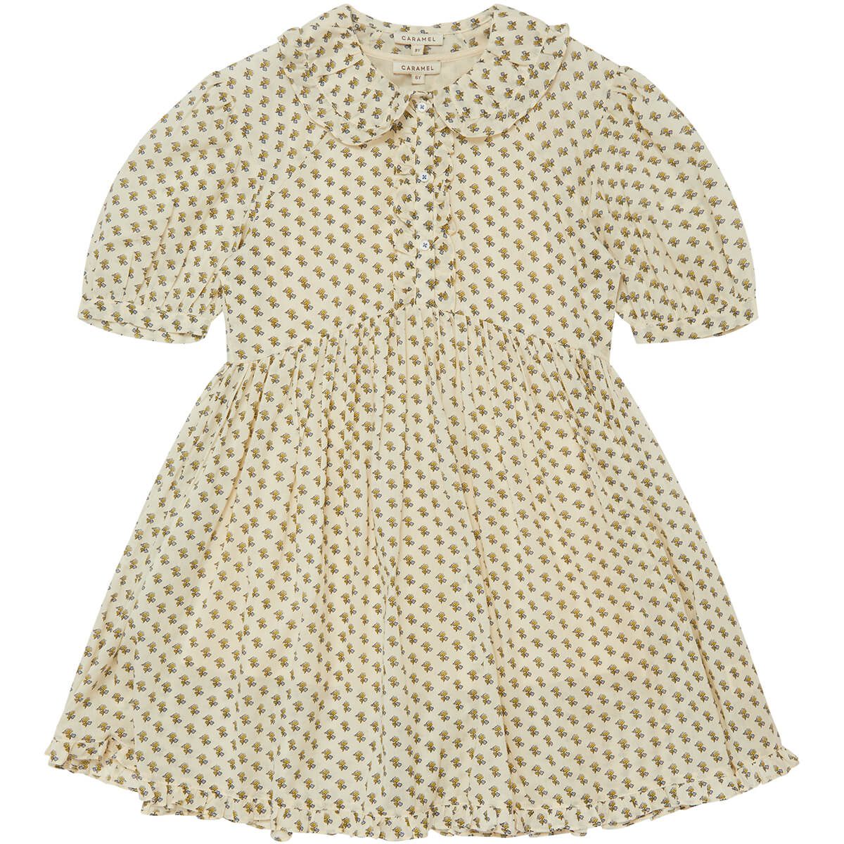 Angelica Dress | Posey Dot Print