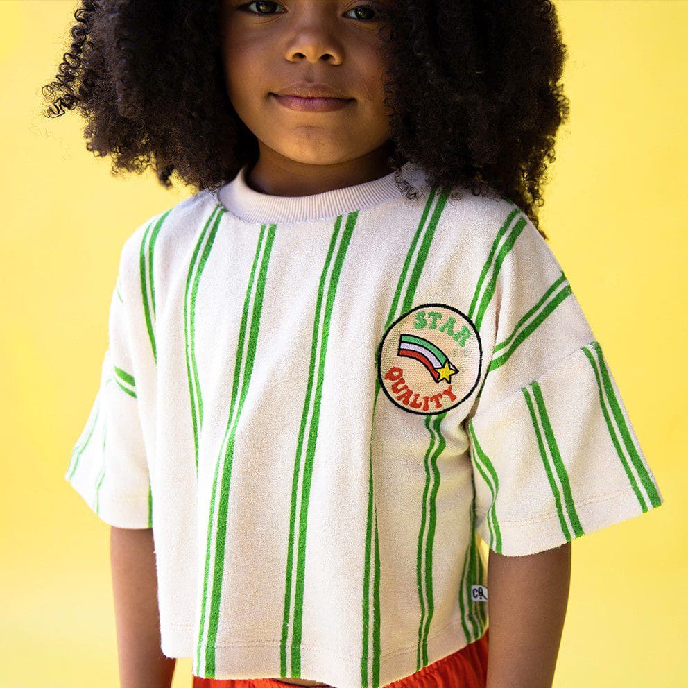 Cropped Crewneck T-Shirt W/ Embroidery | Stripes Green