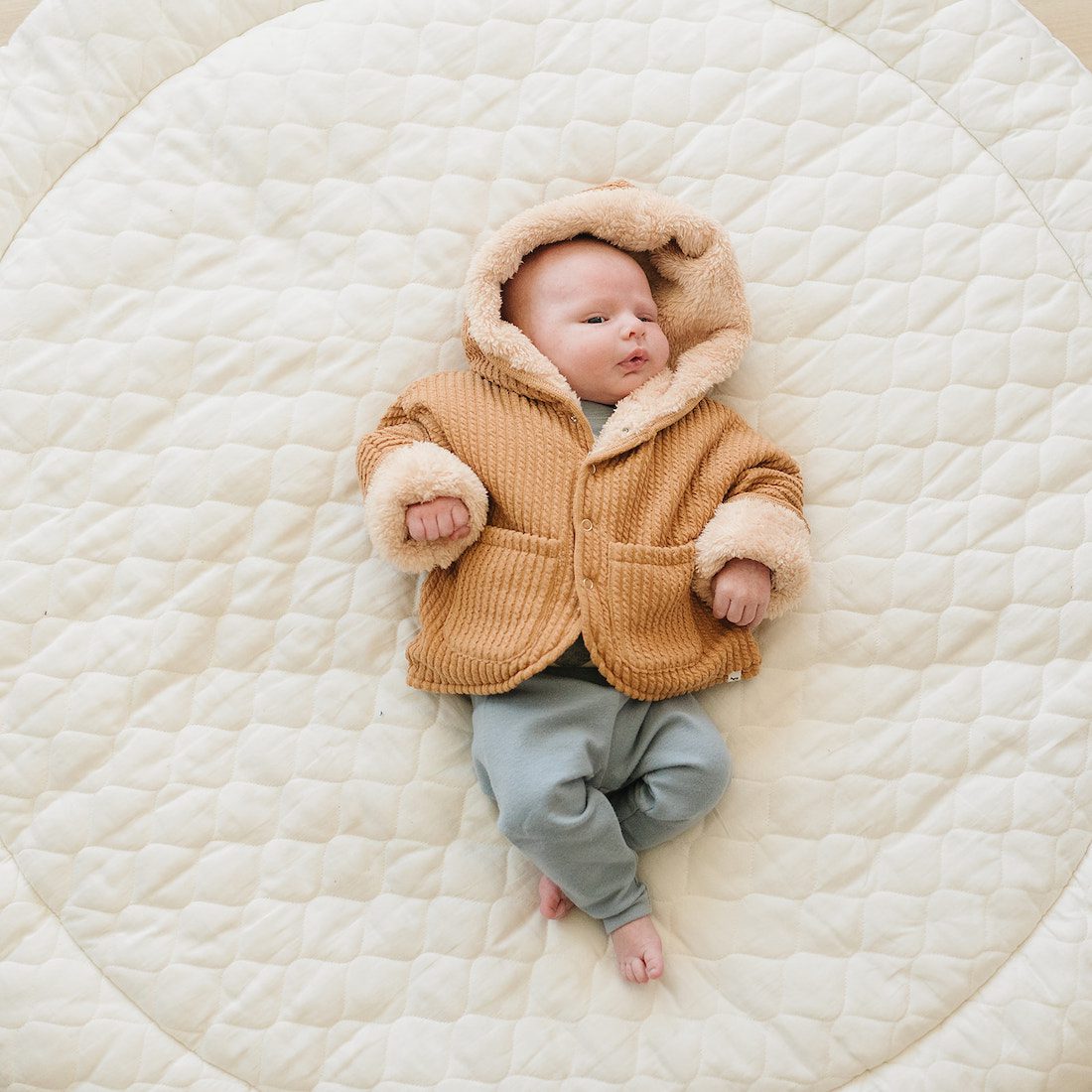 Hooded Cable Knit Jacket W/Snowdrift Lining | Latte