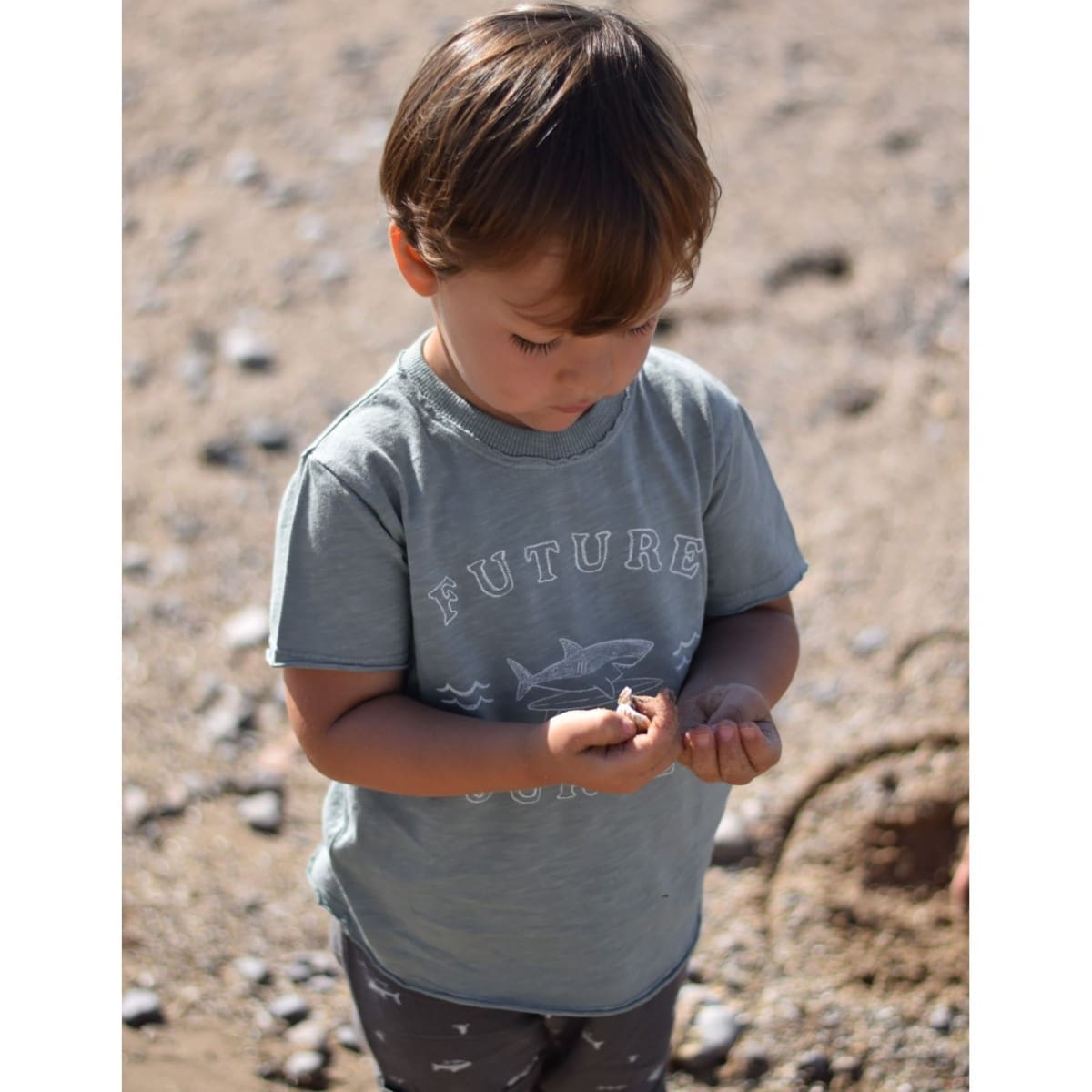 Surfer Shark Tshirt & Sharks Shorts | Blue Gray/Anthracite