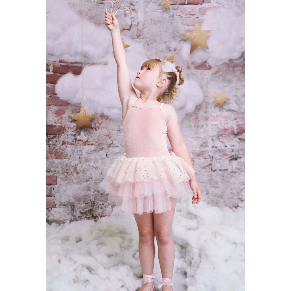 Velvet Stars & Moons Dress | Ballet Pink