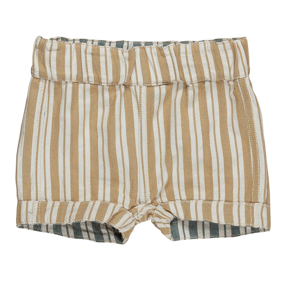 Stripe Reversible Short