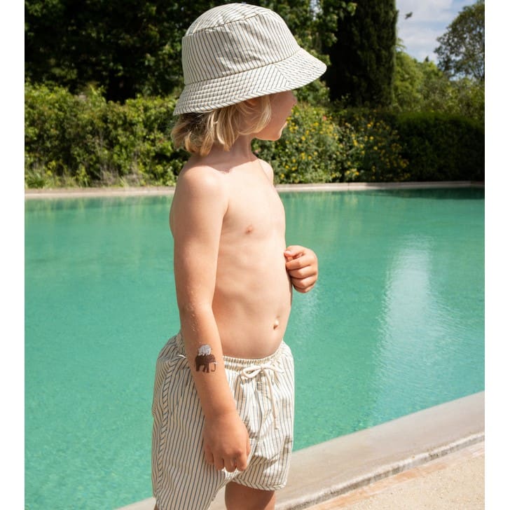 Asnou Swim Shorts | Stripe Blue