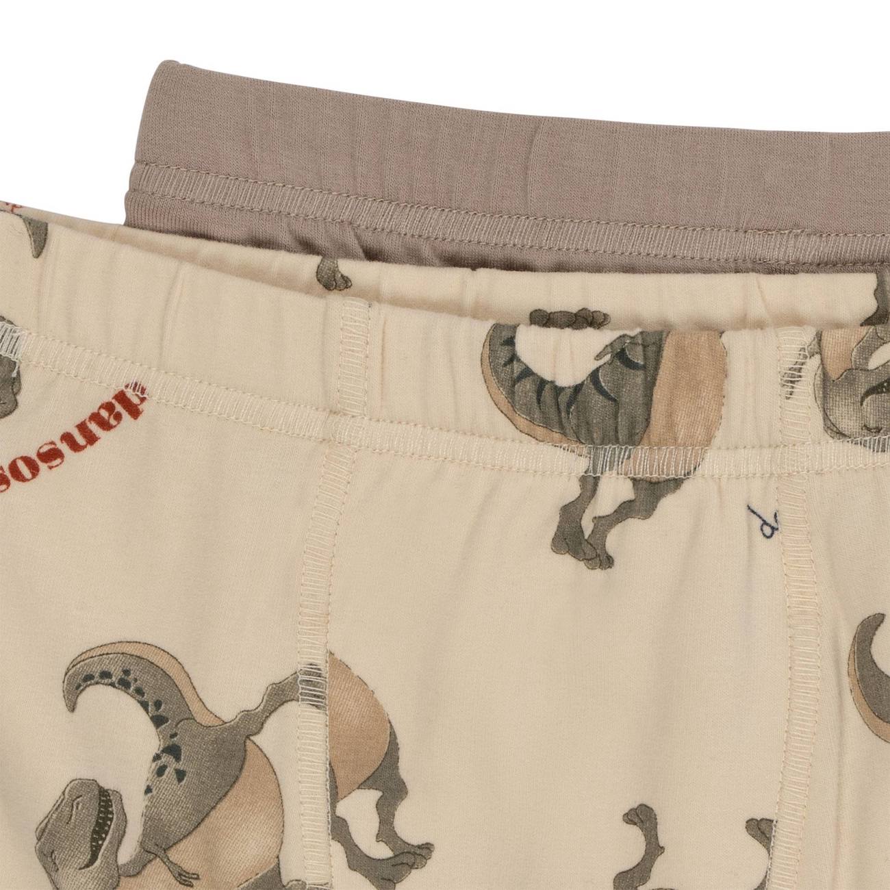 Basic 2 Pack Boy Boxers | DANSOSAURUS/STONE