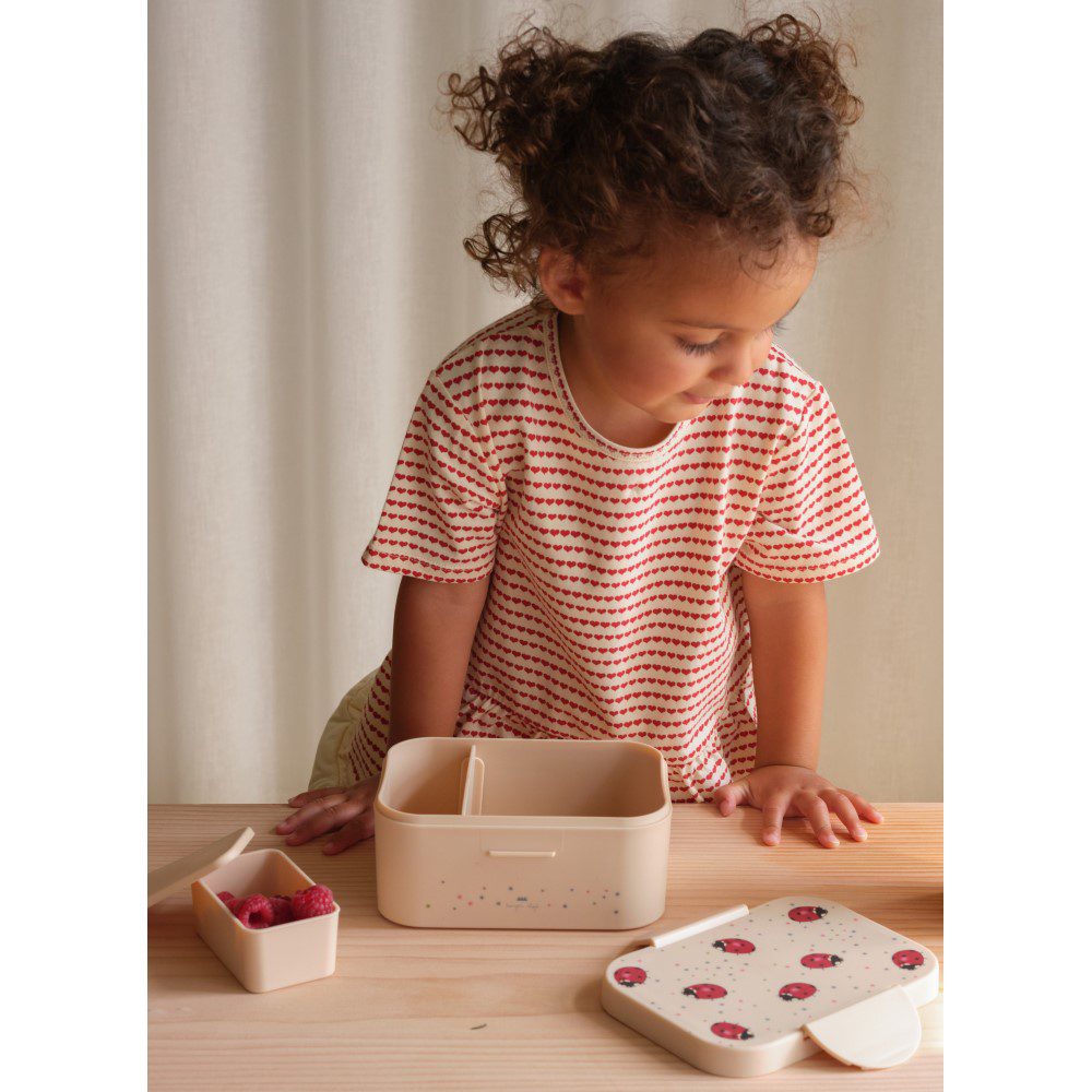 Lunch Box | Lady Bug