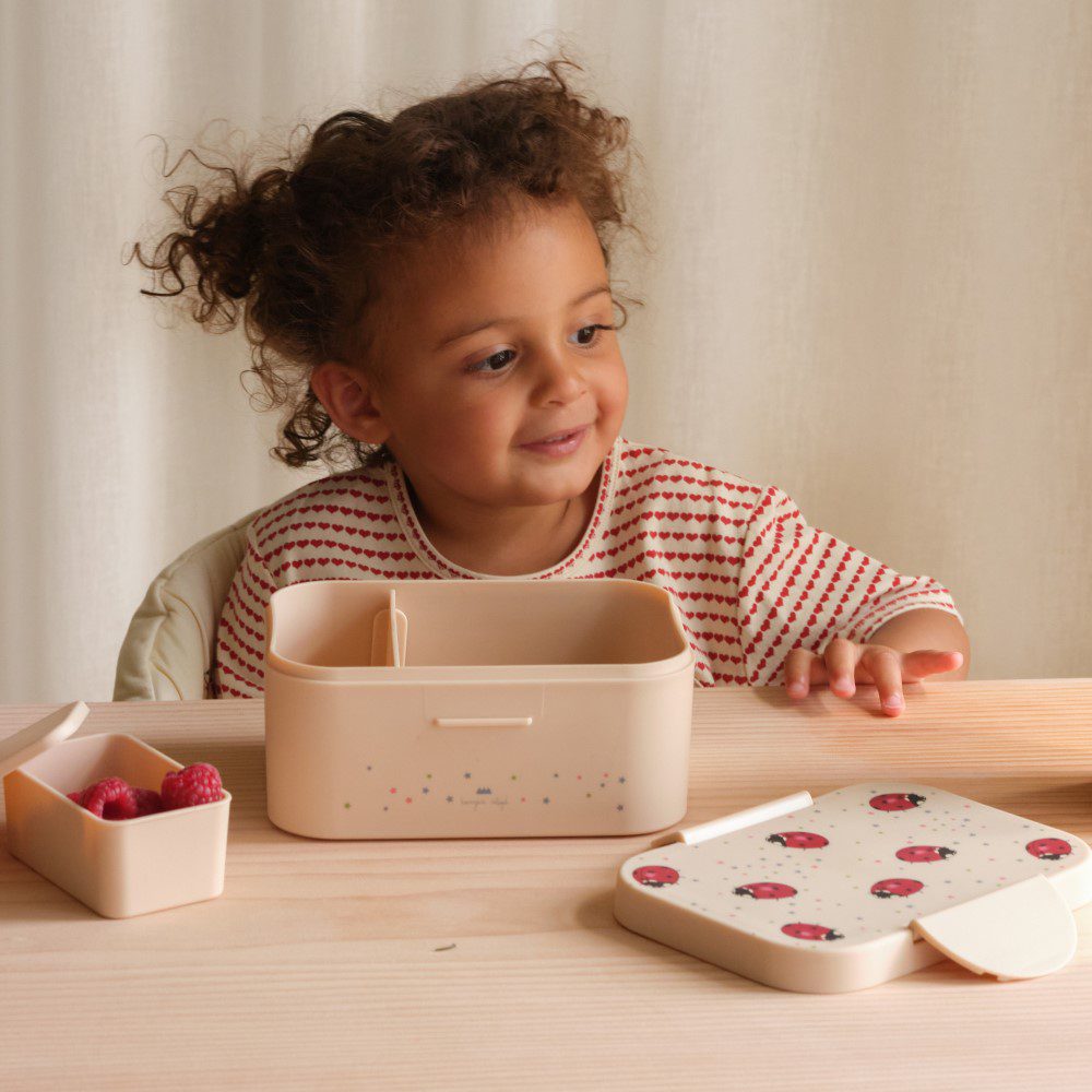 Lunch Box | Lady Bug