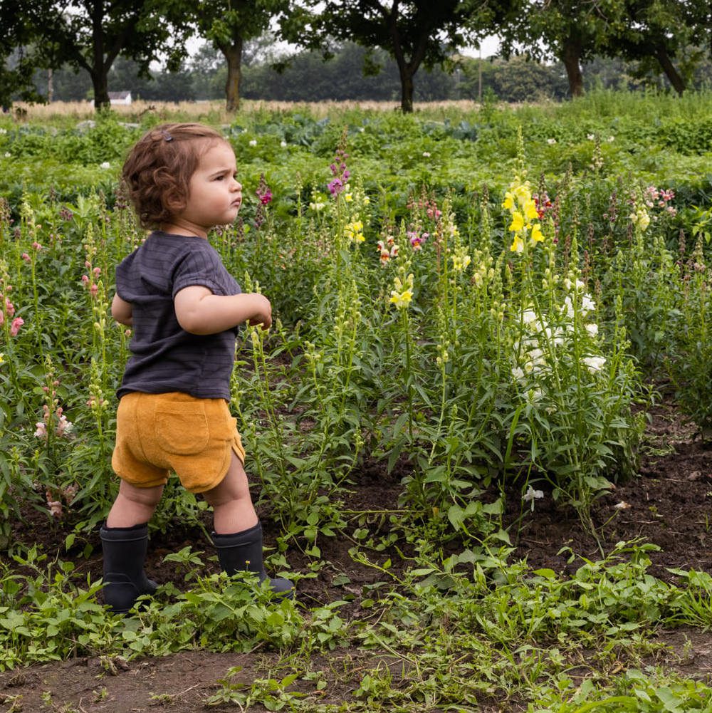 Tessef T-Shirt & Betty Shorts