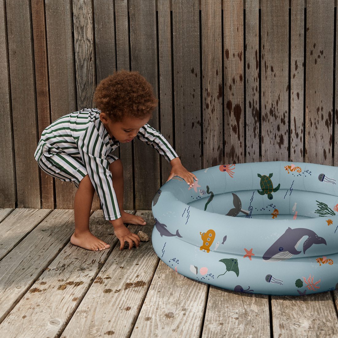 Leonore Pool | Sea Creature Mix