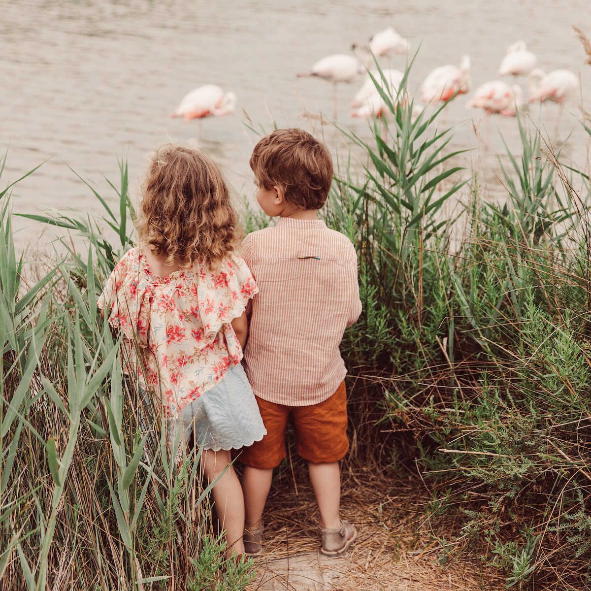 Agrume Stripes Amod Shirt & Cinnamon Obiki Bermuda
