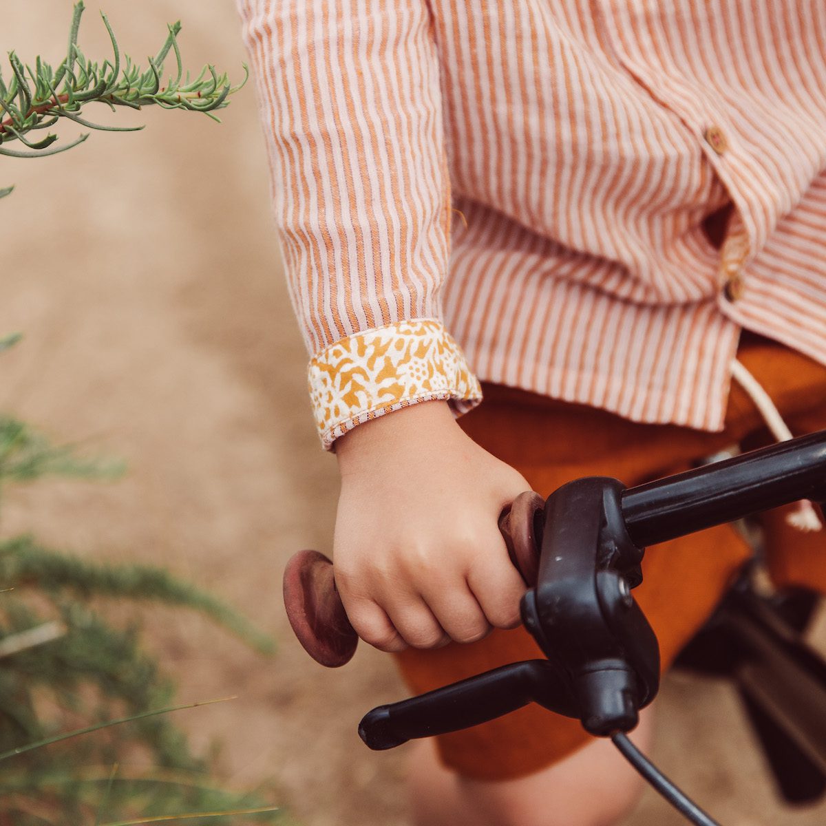 Agrume Stripes Amod Shirt & Cinnamon Obiki Bermuda