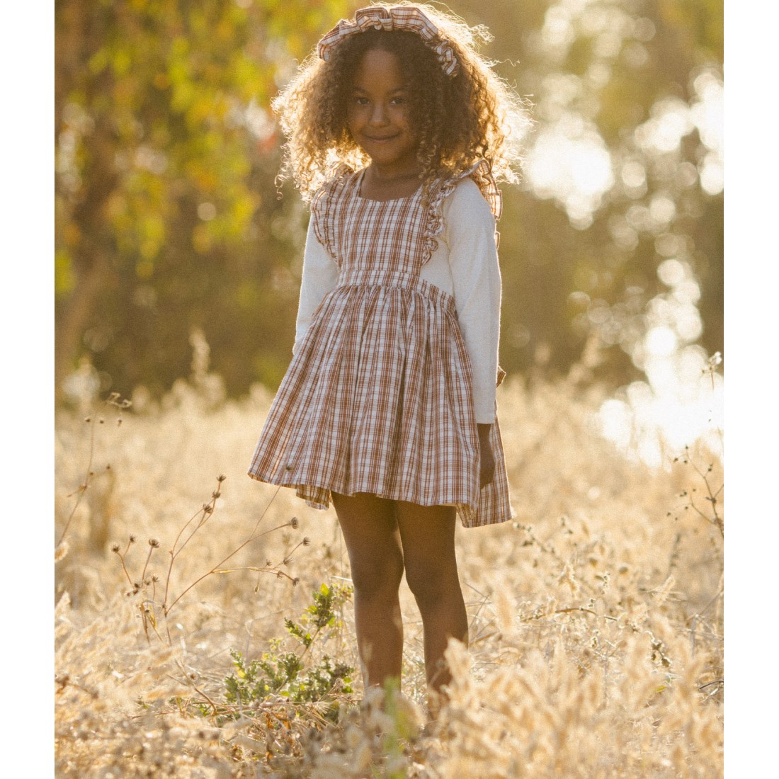 Agatha Dress | Copper Plaid
