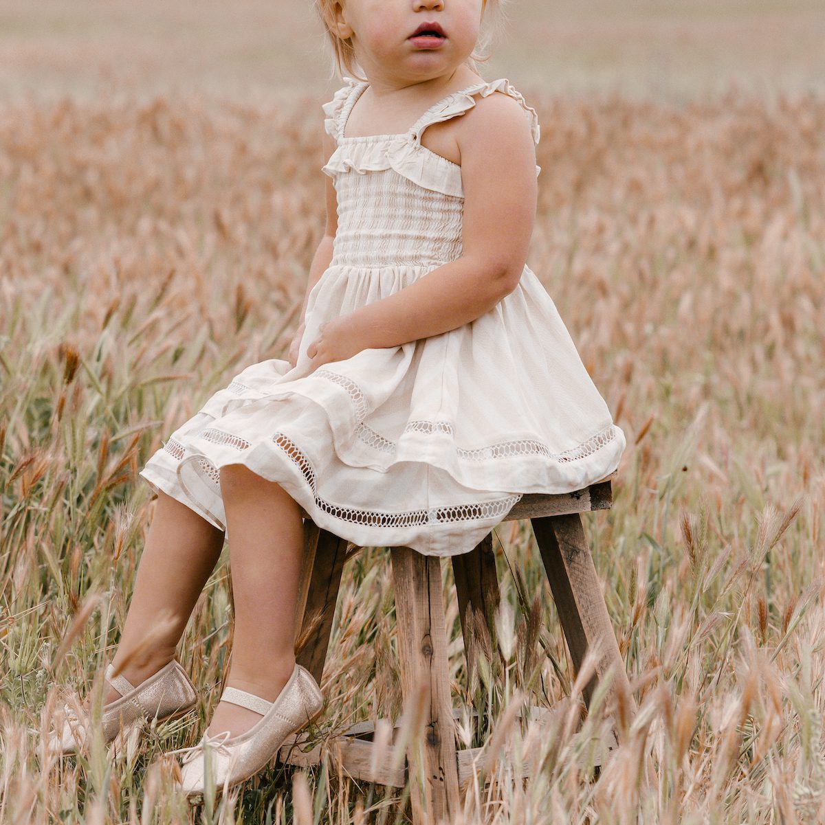 Ballet Flats |  Metallic Soft Blush
