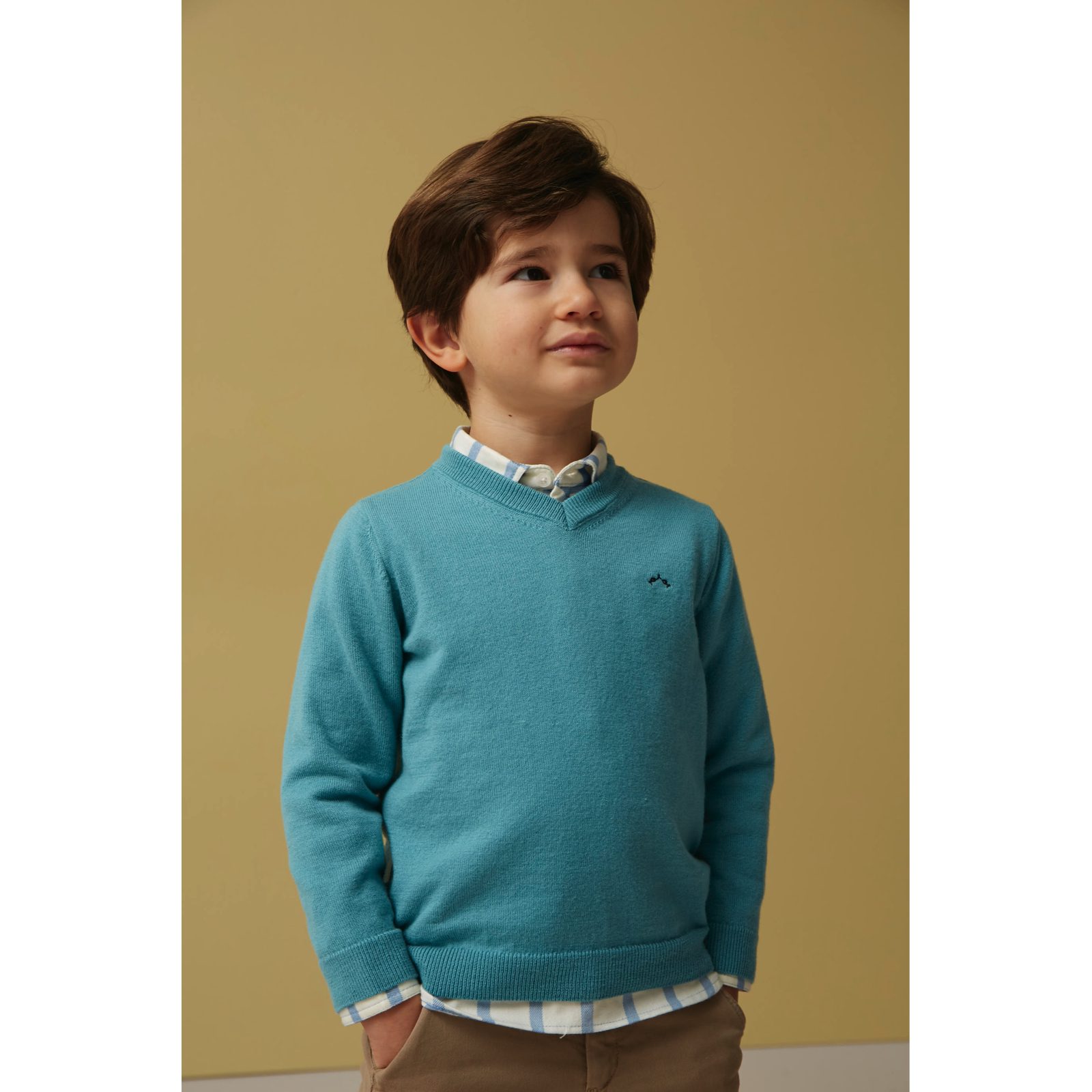 Light Blue Flannel Check Shirt