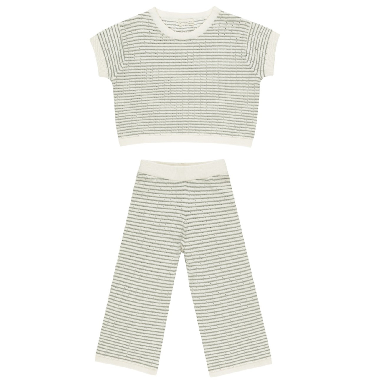 Boxy Crop Knit Tee & Knit Wide Leg Pant | Sage Stripe