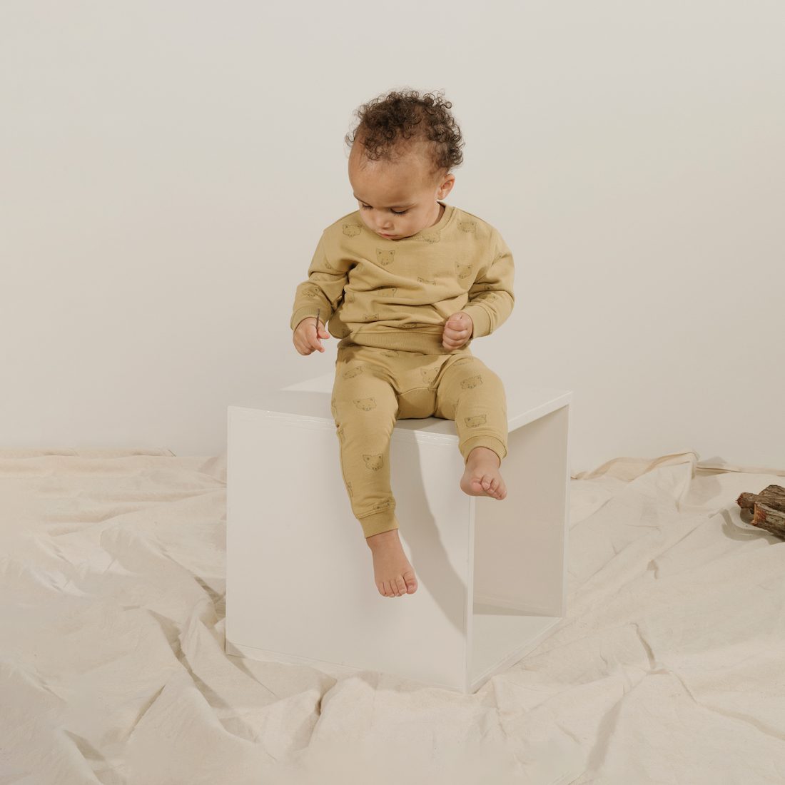 Coyote Sweatshirt & Sweatpants