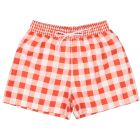 Berries & Bees Gingham Trunks