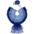 Costume Blue Bird