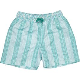 Aqua Classic Swim Shorts