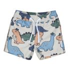 Dino Swim Shorts