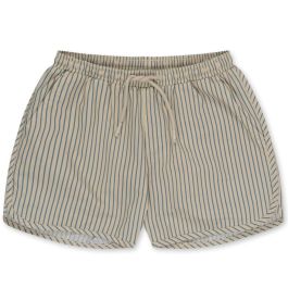 Asnou Swim Shorts | Stripe Blue
