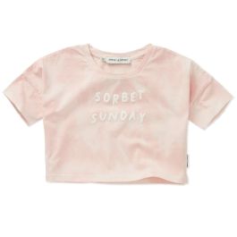Sorbet Sunday Cropped Tshirt