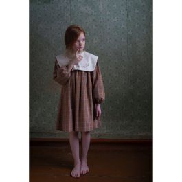 Terracotta Plaid  Dress in W/ Embroidered Yoke