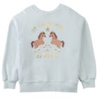 Cheyenne Pullover & Contrast Fringes