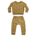 Coyote Sweatshirt & Sweatpants