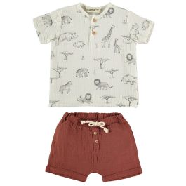 Ecru Serengeti T-Shirt & Terra Noam Shorts