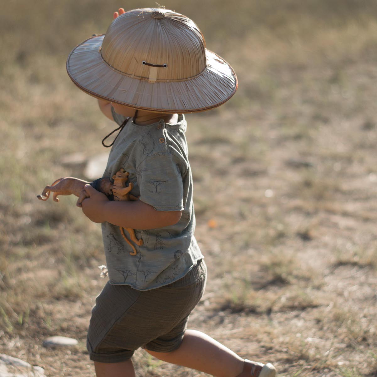 Savannah T-Shirt & Stripes Shorts | Sage