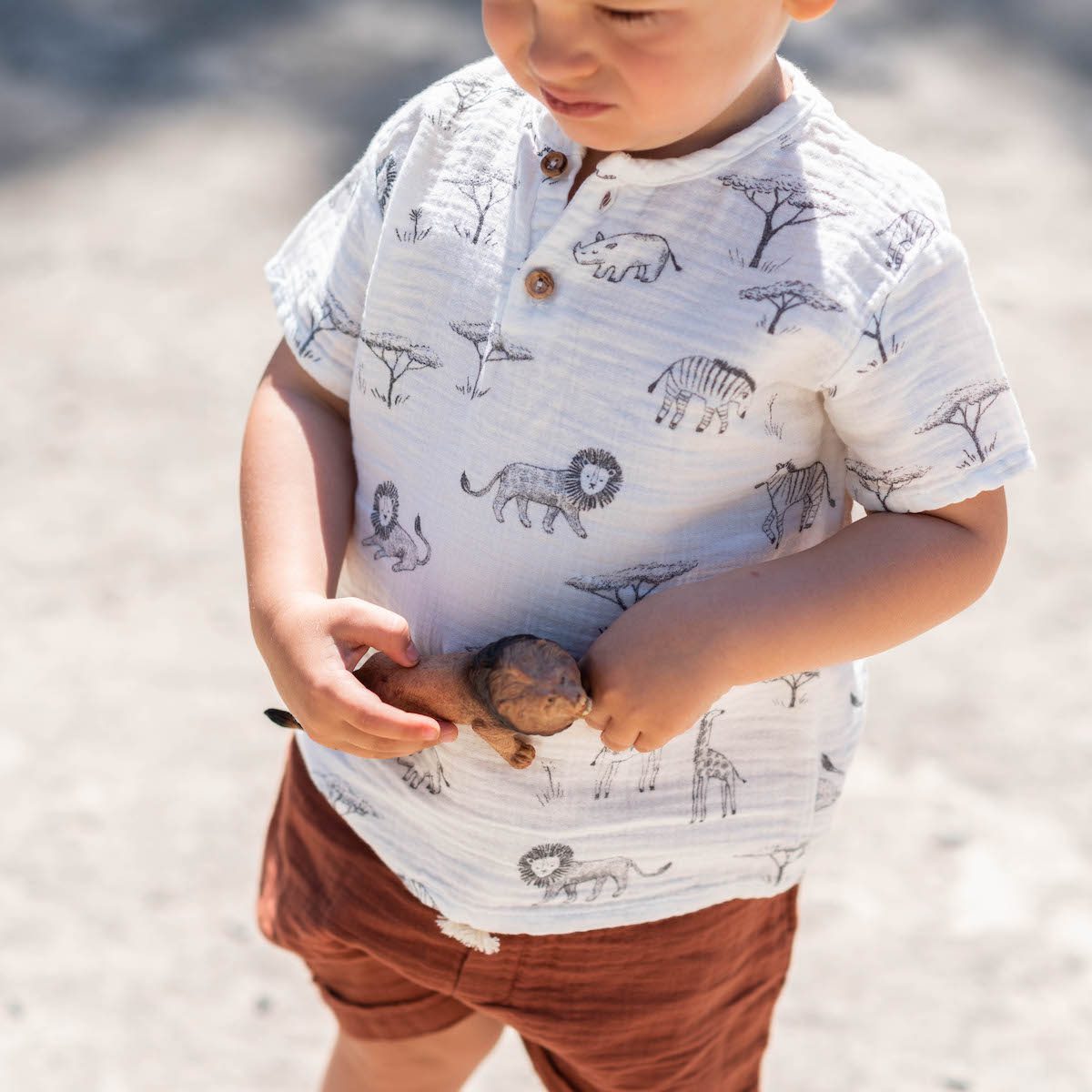 Ecru Serengeti T-Shirt & Terra Noam Shorts