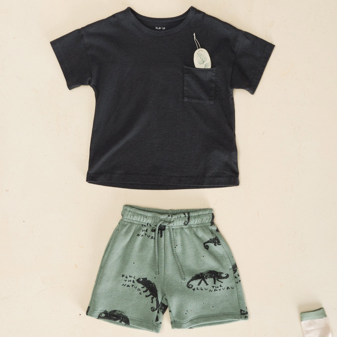 Tshirt & Shorts W/ Chameleon