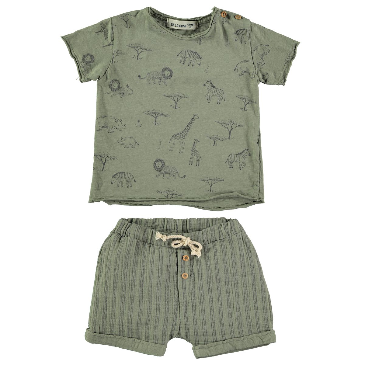 Savannah T-Shirt & Stripes Shorts | Sage