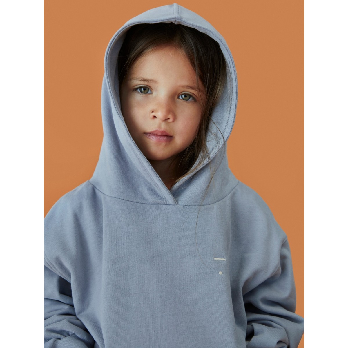 Hoodie Stone Gray